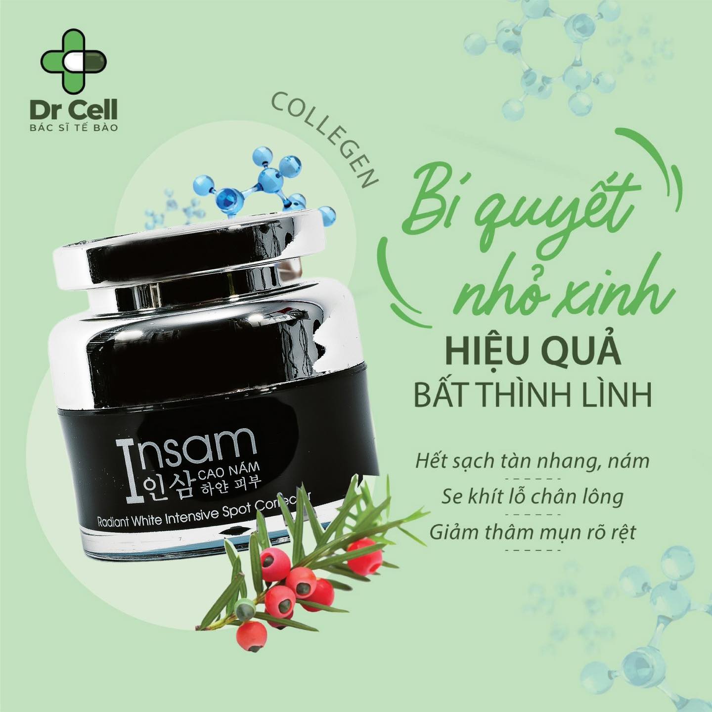 Cao Nám Insam Dr Cell 5