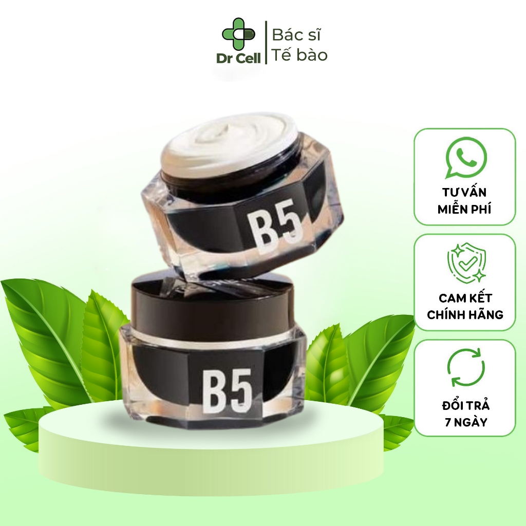 Sản phấm nám B5 DrCell 2
