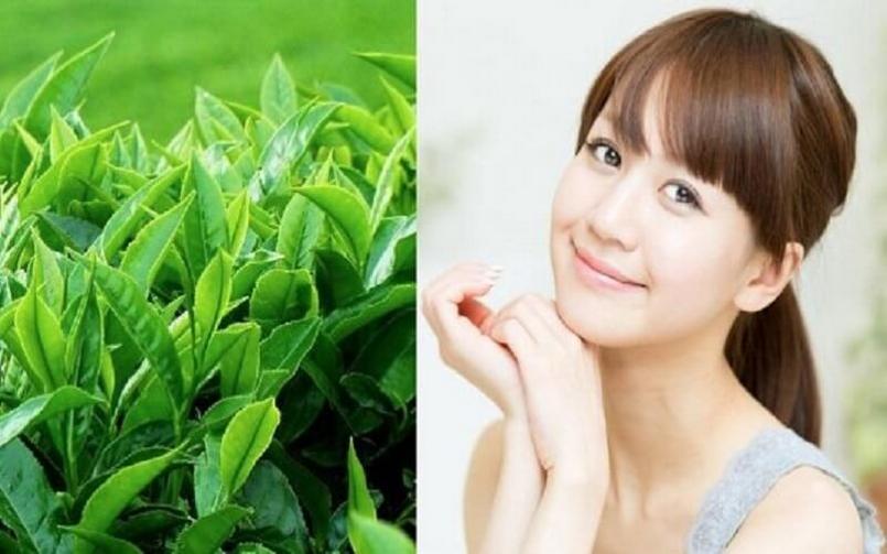 Cách tắm lá trà xanh đúng cách