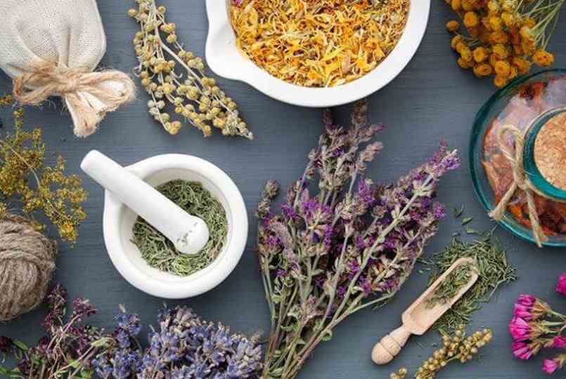 Lợi ích của việc tắm thảo dược cho da body
