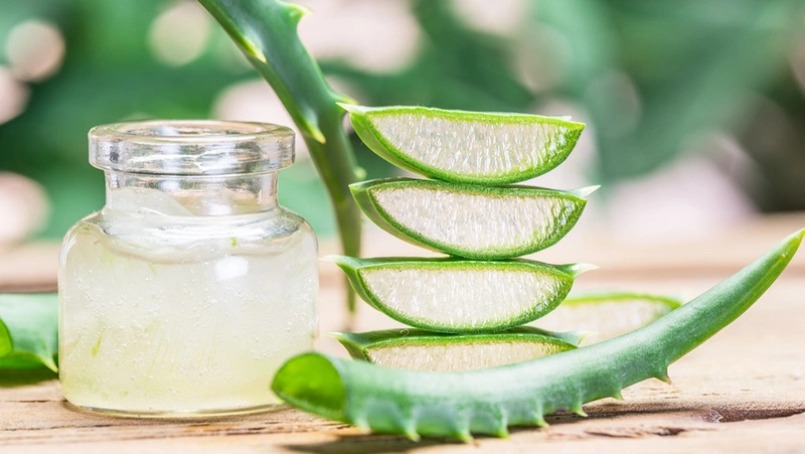 Phương pháp trị viêm nang lông trên da body bằng nha đam
