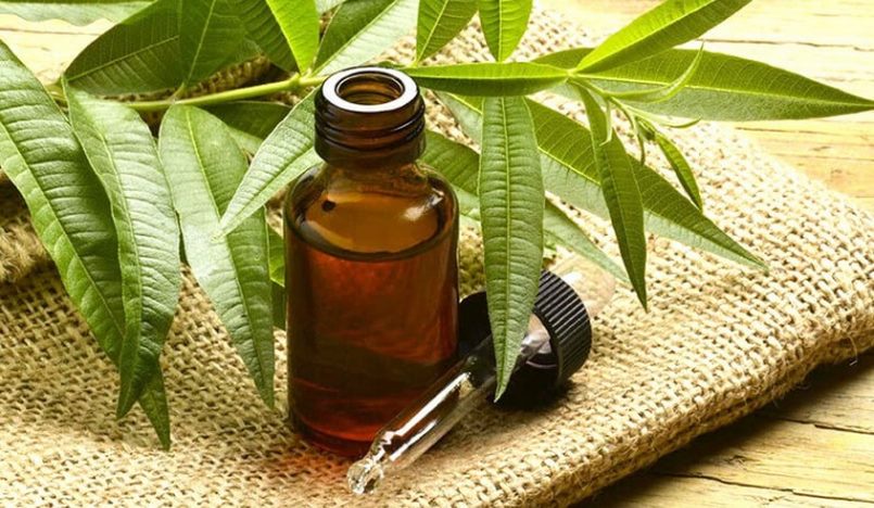 Lưu trữ và bảo quản
